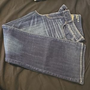 American Eagle Artist Jeans- 14R